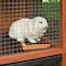 Garden Zone IronRidge 30 in. H X 10 ft. L Galvanized Steel Welded Wire Fence 1 in. 403010 - alternate 5